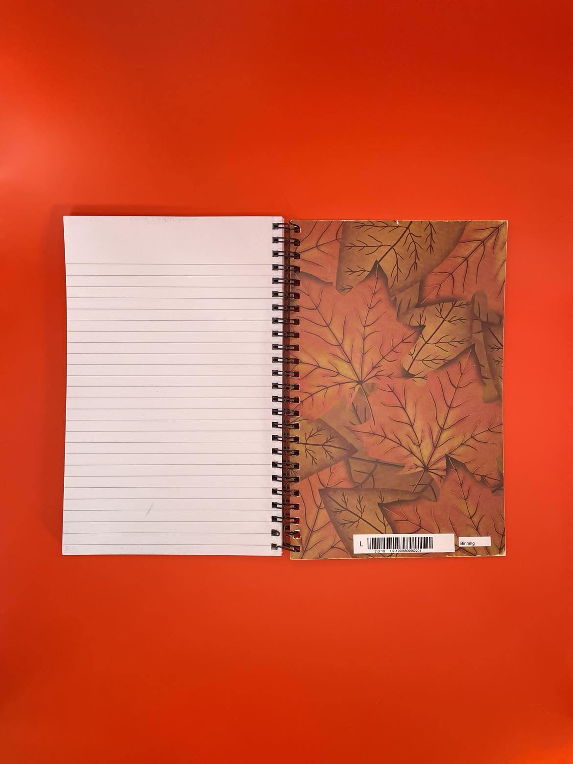 Halloween 2024 Notebook Shadowolf Art