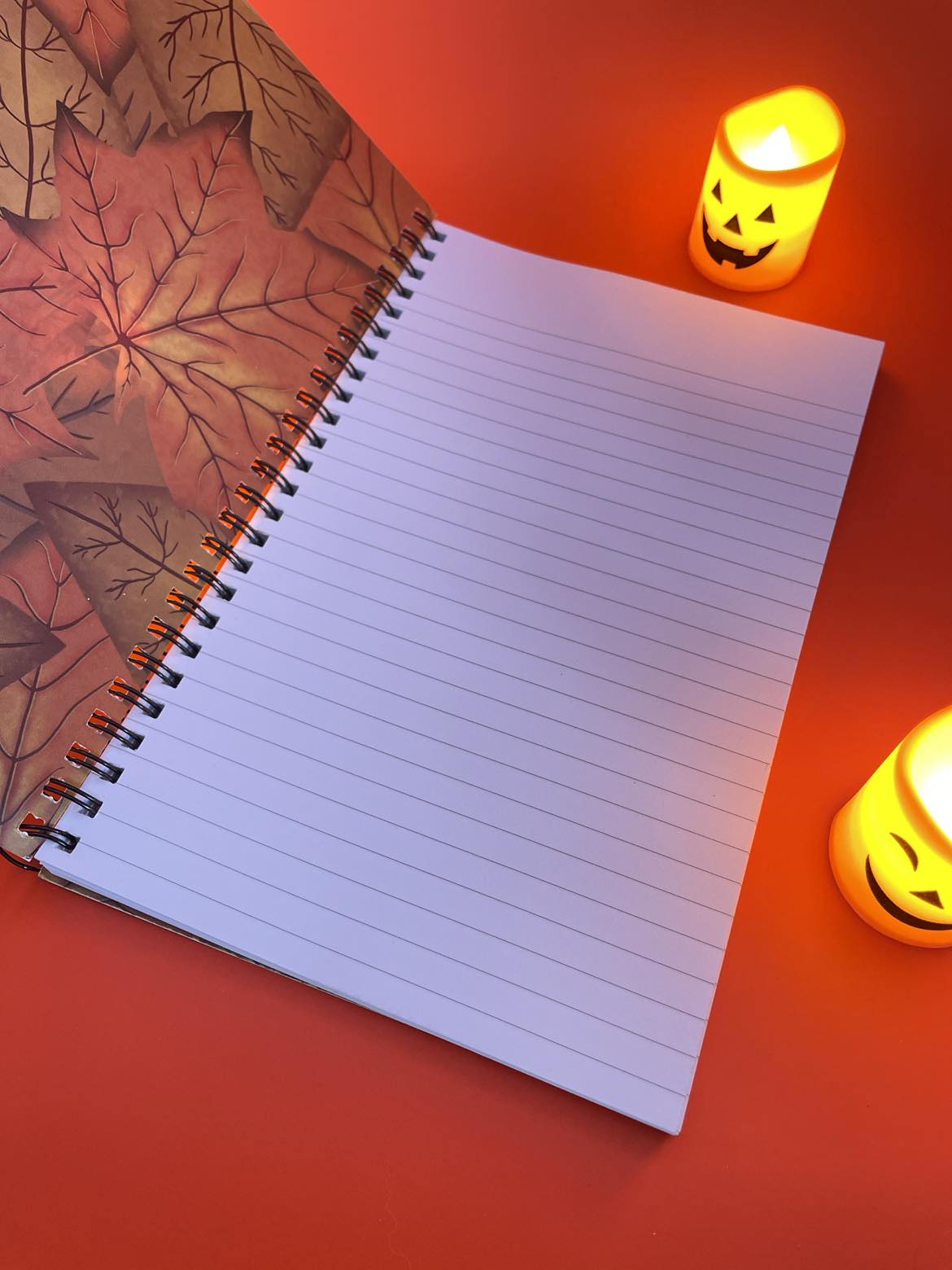 Halloween 2024 Notebook