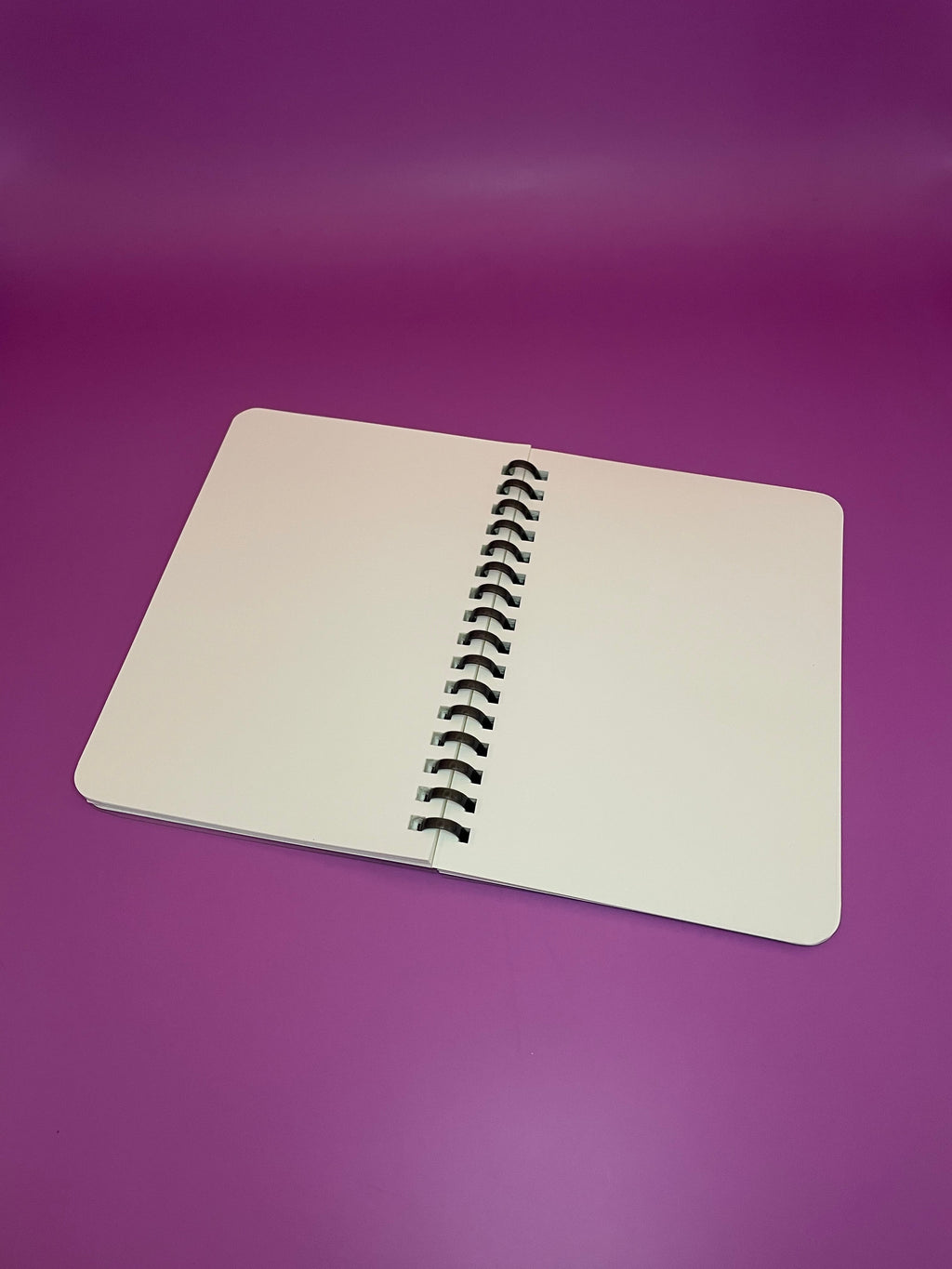 Ethereal Guardian Soft Ring Notebook Shadowolf Art